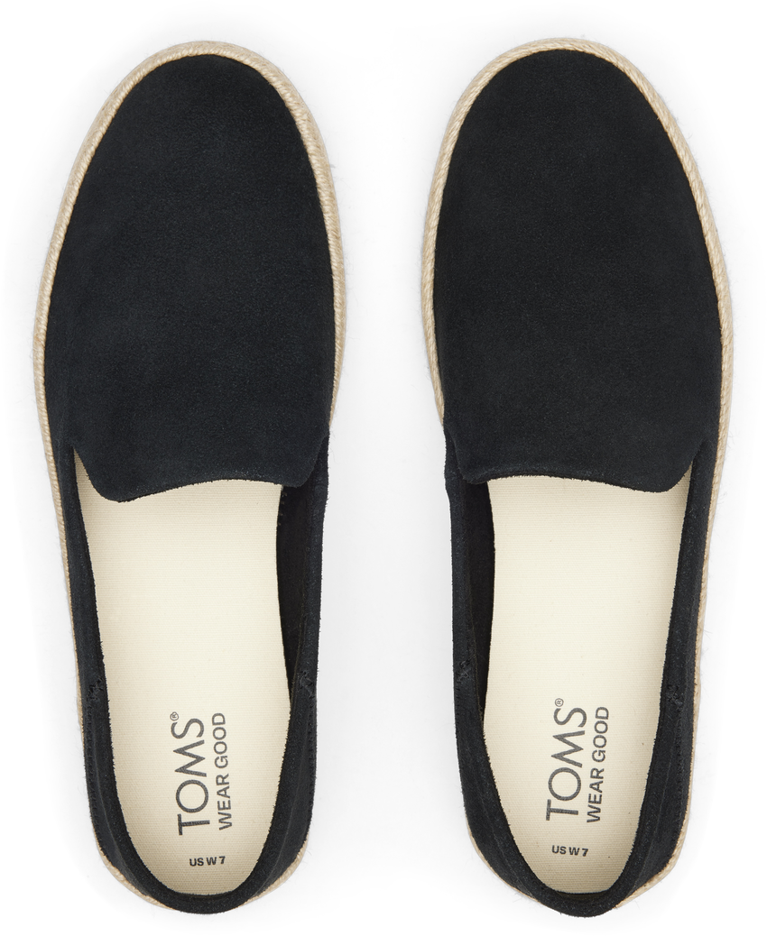TOMS Carolina